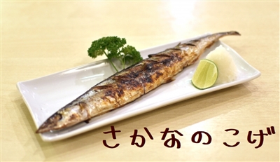 魚の焦げた部分